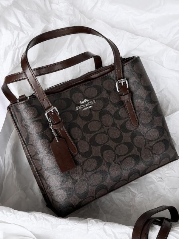 Жіноча сумка Coach brown ТР6932