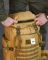 Coyote backpack NP5199